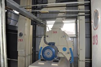 Hammer Mill